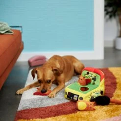 Frisco Retro Smack-a-Squirrel Hide & Seek Puzzle Plush Squeaky Dog Toy 7 Frisco Retro Smack-a-Squirrel Hide & Seek Puzzle Plush Squeaky Dog Toy -WoofyPlay Store 230313 PT3. AC SS1800 V1601947334