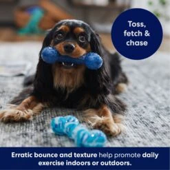 Frisco Retro Denim & Swirl TPR Bone Squeaky Dog Toy -WoofyPlay Store 230341 PT4. AC SS1800 V1695748896