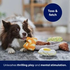 Frisco Microwave Dinner Interactive Plush Squeaky Dog Toy -WoofyPlay Store 230343 PT4. AC SS1800 V1695748838