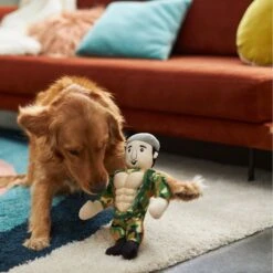 Frisco Retro Camo Hero Muscle Plush Squeaky Dog Toy -WoofyPlay Store 230375 PT3. AC SS1800 V1602639726
