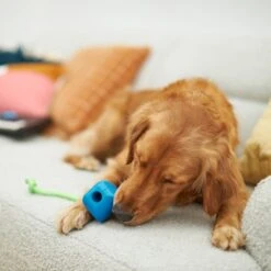 Frisco Retro PC Mouse Rubber Tug & Fetch Dog Toy -WoofyPlay Store 230385 PT3. AC SS1800 V1606953426