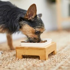 Frisco Square Melamine Dog & Cat Bowl With Bamboo Stand -WoofyPlay Store 232072 PT8. AC SS1800 V1605746845