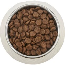Frisco Hammered Melamine Stainless Steel Dog Bowl 9 Frisco Hammered Melamine Stainless Steel Dog Bowl -WoofyPlay Store 232083 PT3. AC SS1800 V1609885089
