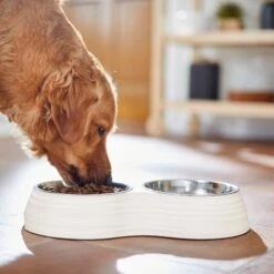 Frisco Stainless Steel Double Dog Bowls With Melamine Stand -WoofyPlay Store 232092 PT7. AC SS1800 V1693015855