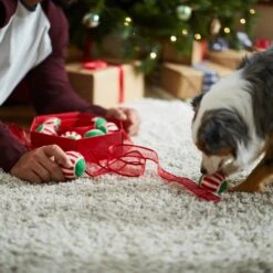 Frisco Holiday Wreath Fetch Squeaky Tennis Ball Dog Toy 11 Frisco Holiday Wreath Fetch Squeaky Tennis Ball Dog Toy -WoofyPlay Store 233189 PT5. AC SS1800 V1601919657