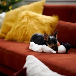 Frisco Holiday Snowman Bungee Plush Squeaky Dog Toy -WoofyPlay Store 233221 PT3. AC SS1800 V1695648147