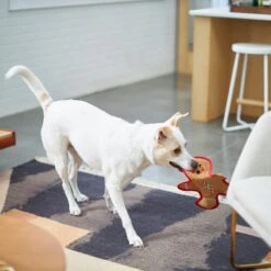 Frisco Holiday Gingerbread Man Flat Plush Squeaky Dog Toy -WoofyPlay Store 233241 PT2. AC SS1800 V1601311903