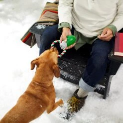 Frisco Holiday Christmas Light Rope With TPR Squeaky Dog Toy -WoofyPlay Store 233278 PT2. AC SS1800 V1601641574