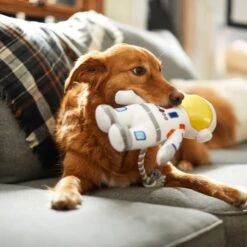 Frisco Ballistic Nylon Plush With Rope Squeaky Astronaut Dog Toy 5 Frisco Ballistic Nylon Plush With Rope Squeaky Astronaut Dog Toy -WoofyPlay Store 233585 PT3. AC SS1800 V1600973761