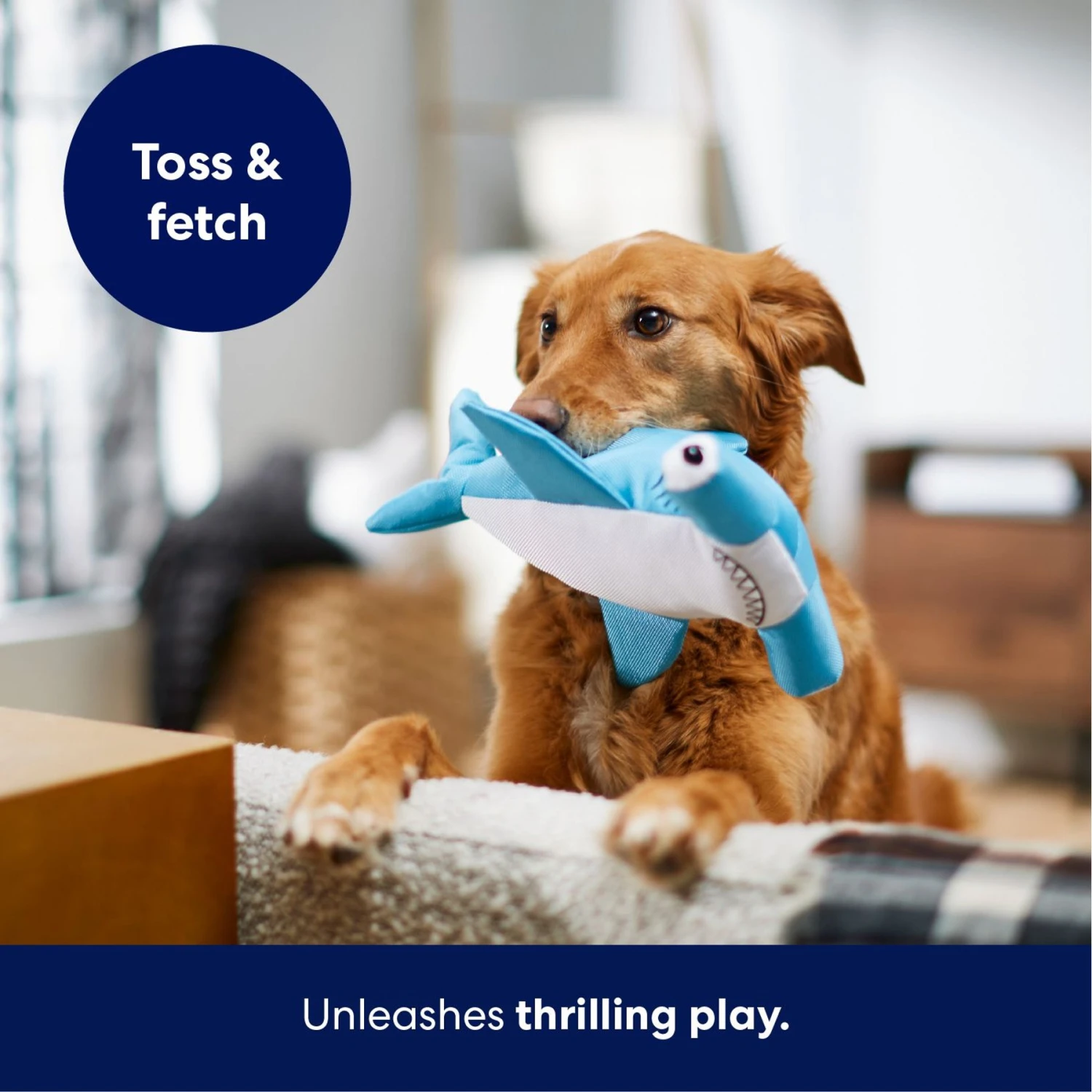 Frisco Hammerhead Shark Ballistic Nylon Plush Squeaky Dog Toy 5 Frisco Hammerhead Shark Ballistic Nylon Plush Squeaky Dog Toy - Image 5