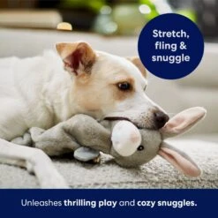 Frisco Bunny Bungee Plush Squeaky Dog Toy 10 Frisco Bunny Bungee Plush Squeaky Dog Toy -WoofyPlay Store 233612 PT5. AC SS1800 V1691783971