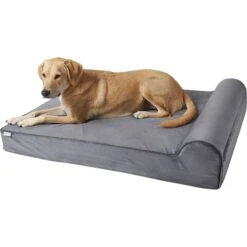 Frisco Orthopedic Chaise Pillow Dog Bed W/Removable Cover -WoofyPlay Store 235032 PT2. AC SS1800 V1600479659