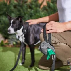 Frisco Dog Poop Bags With Fabric Dispenser -WoofyPlay Store 236998 PT6. AC SS1800 V1610772967