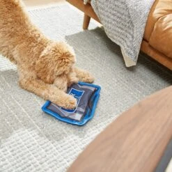 Frisco Zoomies & Chill TV Flat Plush Squeaky Dog Toy -WoofyPlay Store 241685 PT6. AC SS1800 V1610768399