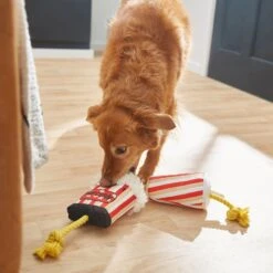 Frisco Zoomies & Chill Theatre Snacks Rope With Plush Squeaky Dog Toy -WoofyPlay Store 241689 PT6. AC SS1800 V1610768279
