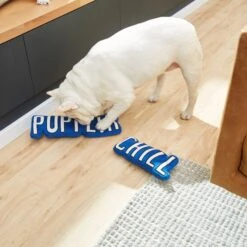 Frisco Zoomies & Chill Pupflix & Chill Plush Squeaky Dog Toy, 2 Count -WoofyPlay Store 241693 PT6. AC SS1800 V1610768429