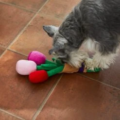 Frisco Valentine Rose Bouquet Plush Squeaky Dog Toy -WoofyPlay Store 241733 PT6. AC SS1800 V1607990908