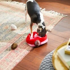 Frisco Valentine Box Of Chocolates Hide & Seek Puzzle Plush Squeaky Dog Toy -WoofyPlay Store 241739 PT6. AC SS1800 V1607992038