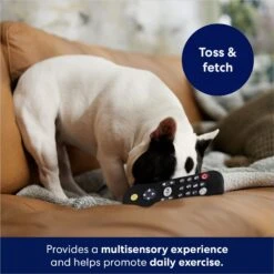 Frisco Zoomies & Chill Remote Latex Squeaky Dog Toy 8 Frisco Zoomies & Chill Remote Latex Squeaky Dog Toy -WoofyPlay Store 241753 PT6. AC SS1800 V1686580150