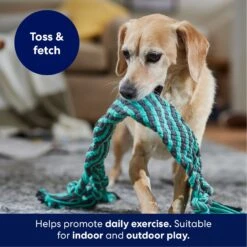 Frisco Flat Teal & Gray Braided Rope Squeaky Fetch Dog Toy -WoofyPlay Store 242127 PT3. AC SS1800 V1695242179