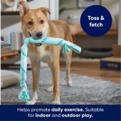 Frisco Double Fun Rope Crinkle Fetch Dog Toy -WoofyPlay Store 242137 PT3. AC SS1800 V1695242178