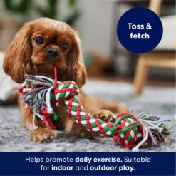Frisco Double Knot Tri-Color Rope Fetch Dog Toy 6 Frisco Double Knot Tri-Color Rope Fetch Dog Toy -WoofyPlay Store 242149 PT3. AC SS1800 V1695241915