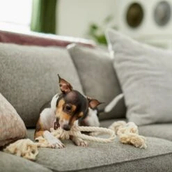 Frisco Double Knot Cotton Rope Fetch Dog Toy -WoofyPlay Store 242155 PT2. AC SS1800 V1605208728