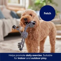 Frisco Zebra Rope Squeaky Dog Toy -WoofyPlay Store 242163 PT3. AC SS1800 V1691785245