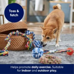 Frisco Rope Multipack For Medium Dog Toys -WoofyPlay Store 243978 PT3. AC SS1800 V1695241973