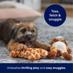 Frisco Giraffe Plush Squeaky Puppy Toy -WoofyPlay Store 245914 PT3. AC SS1800 V1695242028