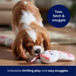 Frisco Bunny Plush Squeaky Puppy Toy -WoofyPlay Store 245916 PT3. AC SS1800 V1695760959