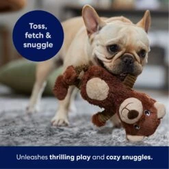 Frisco Bear Plush Squeaky Dog Toy 10 Frisco Bear Plush Squeaky Dog Toy -WoofyPlay Store 245924 PT4. AC SS1800 V1695760929