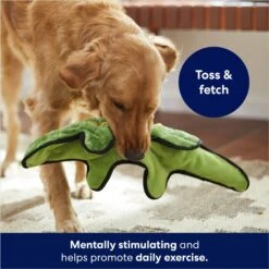 Frisco Alligator Stuffing-Free Flat Plush Squeaky Dog Toy 6 Frisco Alligator Stuffing-Free Flat Plush Squeaky Dog Toy -WoofyPlay Store 245943 PT2. AC SS1800 V1678723898