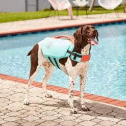 Frisco Active Dog Life Jacket 16 Frisco Active Dog Life Jacket -WoofyPlay Store 247894 PT7. AC SS1800 V1616506092