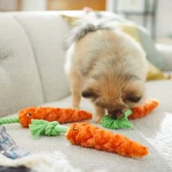 Frisco Easter Carrot Plush With Rope Dog Toy -WoofyPlay Store 248023 PT5. AC SS1800 V1608769360