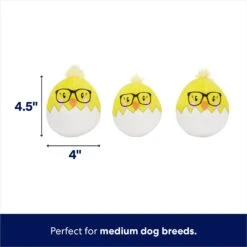 Frisco Spring Easter Egg Hide & Seek Plush Squeaky Dog Toy -WoofyPlay Store 248037 PT2. AC SS1800 V1700243718