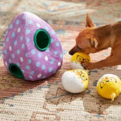 Frisco Spring Easter Egg Hide & Seek Plush Squeaky Dog Toy -WoofyPlay Store 248037 PT5. AC SS1800 V1608763654