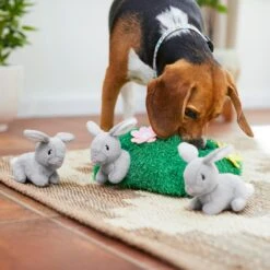 Frisco Spring Bunny Burrow Hide & Seek Plush Squeaky Dog Toy 10 Frisco Spring Bunny Burrow Hide & Seek Plush Squeaky Dog Toy -WoofyPlay Store 248039 PT5. AC SS1800 V1608767863