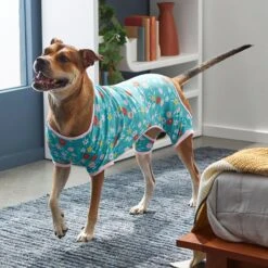 Frisco Teal Floral Dog & Cat Jersey PJs -WoofyPlay Store 249132 PT7. AC SS1800 V1614376401
