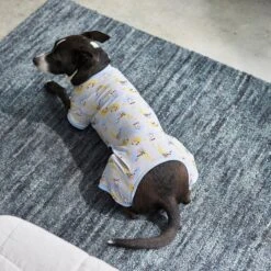 Frisco Sleepy Sloths Dog & Cat Jersey PJs 9 Frisco Sleepy Sloths Dog & Cat Jersey PJs -WoofyPlay Store 249144 PT7. AC SS1800 V1614369158