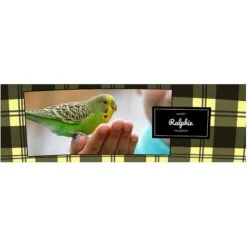 Frisco Double Walled Red Plaid Personalized Tumbler, 30-oz Cup -WoofyPlay Store 249346 PT2. AC SS1800 V1602029161