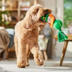 Frisco St. Patrick's Leprechaun Plush With Tennis Ball Squeaky Dog Toy 8 Frisco St. Patrick's Leprechaun Plush With Tennis Ball Squeaky Dog Toy -WoofyPlay Store 249472 PT4. AC SS1800 V1700163040