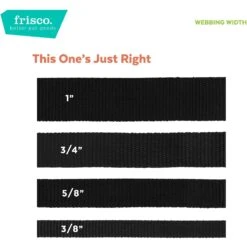 Frisco Solid Nylon Personalized Martingale Dog Collar -WoofyPlay Store 249561 PT4. AC SS1800 V1628876638