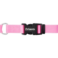 Frisco Solid Nylon Personalized Martingale Dog Collar -WoofyPlay Store 249561 PT5. AC SS1800 V1628877460