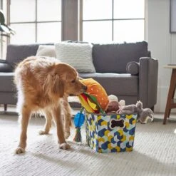 Frisco Rectangle Collapsible Pet Toy Storage Bin, Yellow Geometric 9 Frisco Rectangle Collapsible Pet Toy Storage Bin, Yellow Geometric -WoofyPlay Store 250578 PT3. AC SS1800 V1615572198
