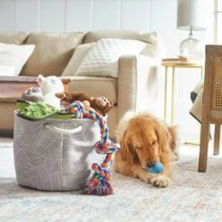 Frisco Round Collapsible Pet Toy Storage Bin, Gray Basket Weave -WoofyPlay Store 250585 PT3. AC SS1800 V1615572111