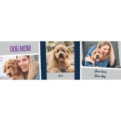 Frisco Double Walled "Dog Mom" Personalized Tumbler, 30-oz Cup -WoofyPlay Store 250741 PT2. AC SS1800 V1602689509