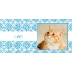 Frisco Double Walled Boho Damask Personalized Tumbler, 30-oz Cup -WoofyPlay Store 250749 PT2. AC SS1800 V1606680445