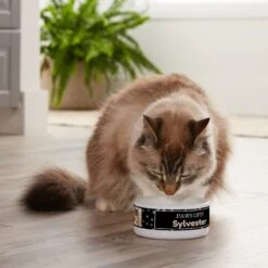 Frisco "Paws Off" Ceramic Personalized Dog & Cat Bowl -WoofyPlay Store 250829 PT3. AC SS1800 V1610767170