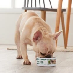 Frisco Boho Damask Ceramic Personalized Dog & Cat Bowl -WoofyPlay Store 250833 PT3. AC SS1800 V1610758070